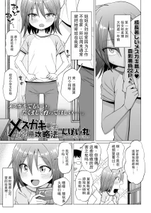 Mesugaki Kousei Hisshou Kouryaku-hou  雌小鬼矫正必胜攻略